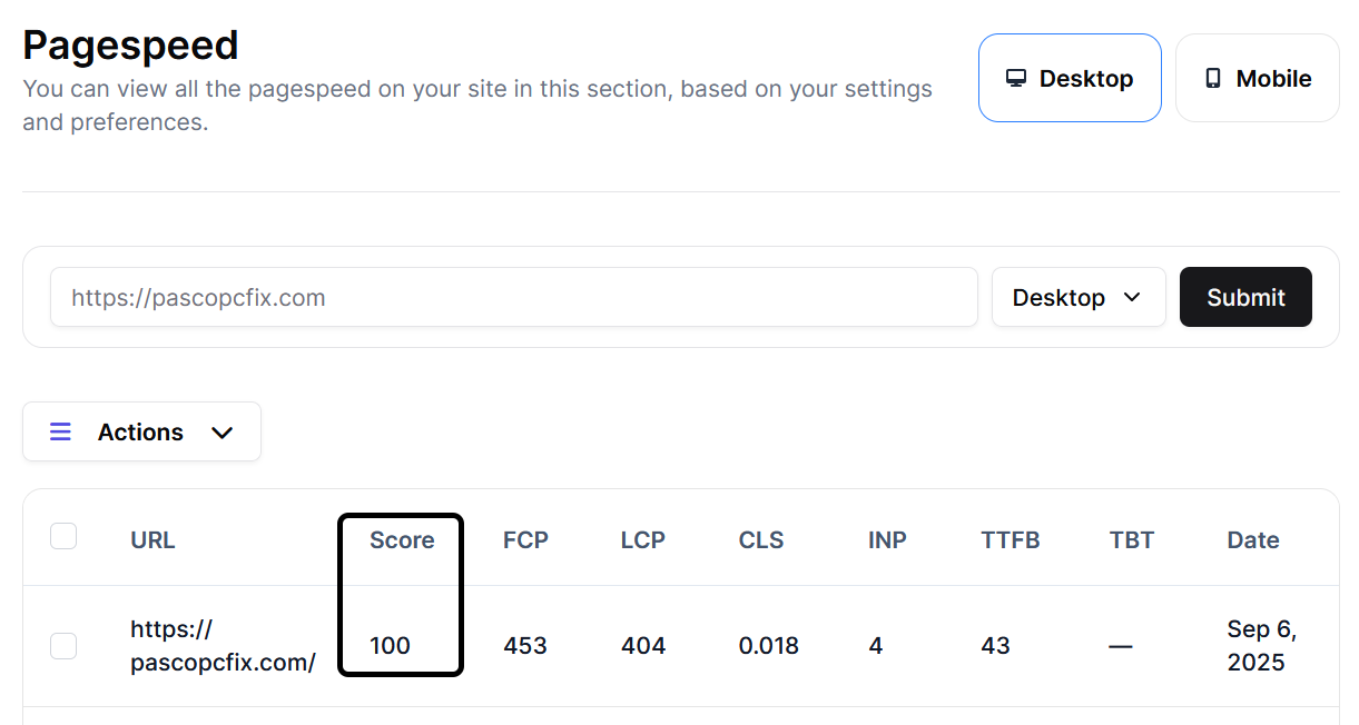 PageSpeed1